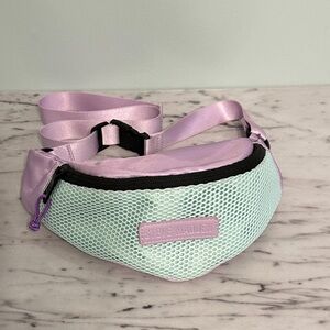 Steve Madden Lavender and Mint Belt Bag
